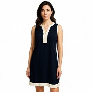 Ann Taylor Navy Colorblock Shift Dress Size Medium Petite